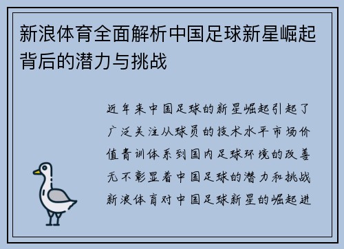 新浪体育全面解析中国足球新星崛起背后的潜力与挑战